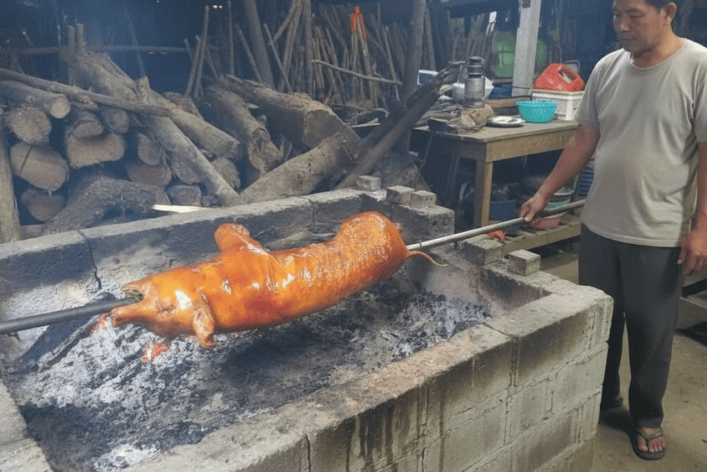 A specialty named for its small size, these free-roaming pigs are so compact that locals used to carry them under their arms to market